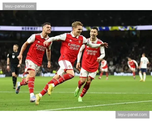 纪录片《孤注一掷》第二季聚焦英超保级大战，本月上映